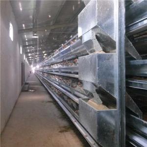 China Smooth Running Automatic Poultry Feeder System High Degree Efficiency For Farm factory