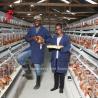 Buy cheap China Factory Battery Layer Cage 5 tier With Poultry Equipment For Africa Market from wholesalers
