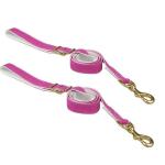 Colorful Dog Collars And Leashes / Dog Walking Leash Canvas Padded Material