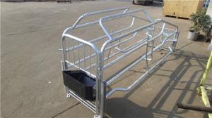 China Hign Strength Galvanized Pig Farrowing Crate Anti Corrosive Long Using Life Time factory