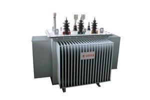China 30kva 3 Phase Transformer 10/0.4Kv Three Phase Voltage Transformer factory