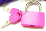 30MM Mini Plastic Lock