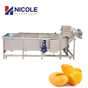 China Mango Industrial Fruit Washing Machine Multifunctional Veggie Cleaner Machine factory