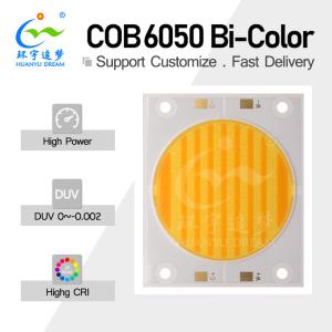 China High Lumen Output Dual Color COB LED 200W 200W 300W 300W 3838 5454 6050 Chip 2700K 6500K Ra98 For Photography Light factory