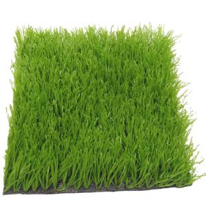 China Green Soccer Sport Football Artificial Grass 60mm factory