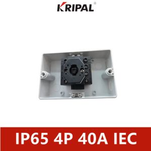 CE Approval IP65 Isolator Switch 4 Pole 32A 40A 50A 63A With Enclosure