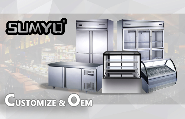 Commercial Vertical Air Cooling Two Doors Refrigerator Single-Temperature