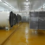 LTDG - Series Vacuum Freeze Dryer , Vacuum Freezer Machine CE Certified