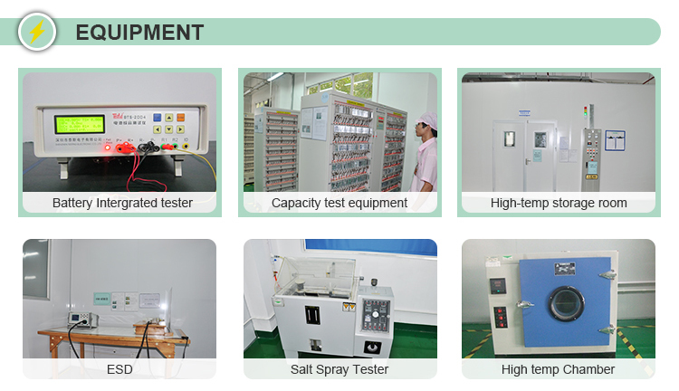Customized Li Polymer Battery Cell Rechargeable OEM LP-454965-2P-3M 3.7V 3000mAh