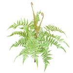 Theme Park Artificial Landscape Trees Fern Bush 20-40cm Natural Looks Realistic