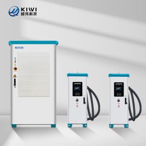 CCS/CHAdeMO/Tesla OCCP 1.6 Compatible 120KW DC EV Charger with Output Voltage