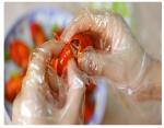 Household Food Safe Polyethylene Disposable Gloves Embossed Surface