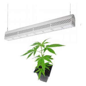 China Green House Waterproof LED Grow Lights Replacing HPS And HID 3 Years Warranty factory