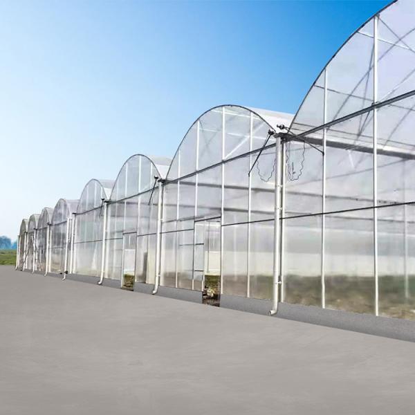 Agricultural Farm Multispan Polycarbonate Panels Greenhouse with Shading System