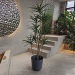 Customized Plastic Flower Pot Lightweight for Planting Seedling