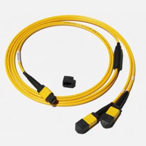 China MPO-MPO Low insertion loss,high speed network,Yellow/Aqua color fiber optic patch cord factory