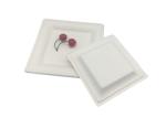 8 Inch Square Biodegradable Sugarcane Bagasse Plates