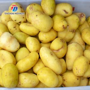 China Desktop Fruit And Vegetable Peeler Machine Potato Barrel Peeling Equipment factory