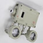 90lm/W Fire Proof Emergency Light LED IP66 2x3w Hazard Area