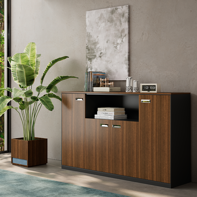 Myidea Simplified Storage Space, Back Cabinet, File Cabinet, Floor To Ceiling