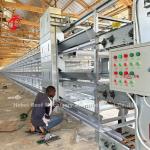 Poultry Cage System H/A Type With Automatic Drinkers Feeders Installation For