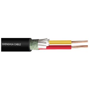 Low voltage 0.6/1kV XLPE Insulated Power cable IEC standard Two Cores