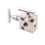 1/4 Female NPT 3000 Psi Instrument Manifold Valve 200℃ 2 Way Manifold