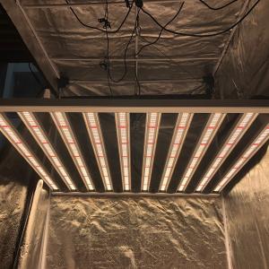 China RedFarm Commerical DLC Listed 1200 Watt LED Grow Light For Cannabis factory