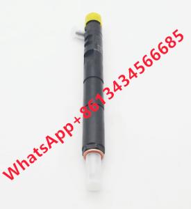 China Ejbr04101d Volvo Fuel Injector Ejbr02101z 8200049876 166003978r Common Rail factory