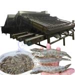 Multifunctional Shrimp Grading Machine Durable Stainless Steel