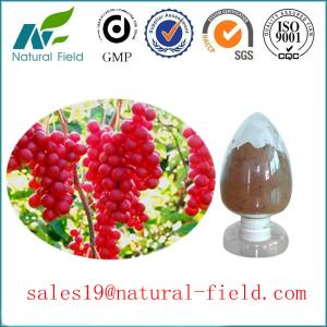 China high quality schisandrae chinensis extract with CAS:7432-28-2 GMP manufacturer and competitive price factory