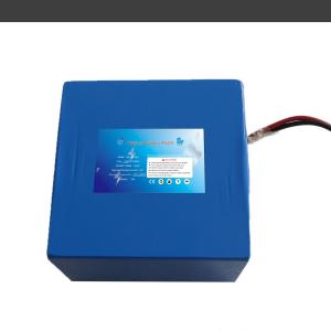 China Custom high quality lifepo4 battery 24v 10ah factory