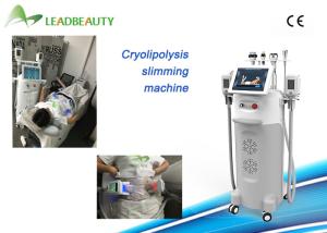 China CE Certificated body sculpting machine fast slimming equipment cryolipolysis with teaching video factory