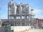 Industrial Turnkey Mango Processing Line With Destoning Removing System