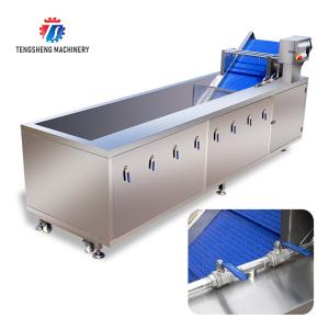 China 3KW Bubble Circulating Surfing Fruit And Vegetable Washing Machine Ozone Sanitization Bubble factory