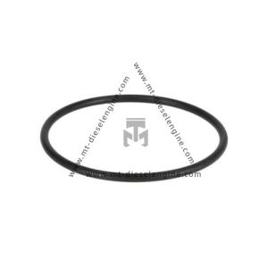 China O-seal 06214832 0621 4832 6214832 For DEUTZ TD3.6 Engine factory