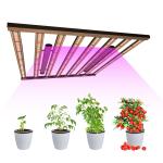 600W 650W 4x4 Samsung LM301H Led Grow Light For Indoor Plant