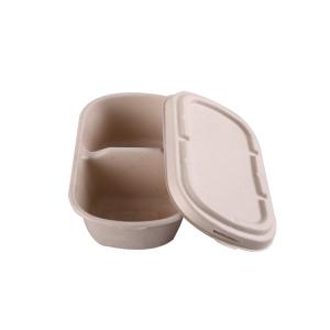 China Sugarcane Bagasse Food Container Lunch Food Bagasse Take Out Refrigerator factory