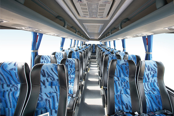 Rose 24-52 Seater Coach Tour Bus Rear Rear Drive 6x2 Diesel Minibus