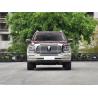 Buy cheap Tank 500 2023 3.0T Petrol Automatic Cars Smart Gasoline Custom Version 5 Seats from wholesalers