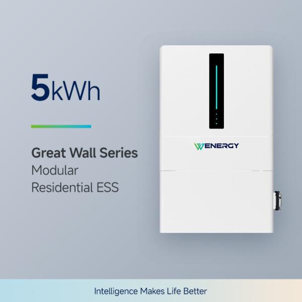 BMS Protection Home Energy Storage Battery 5 kWh ( Domestic Battery Energy