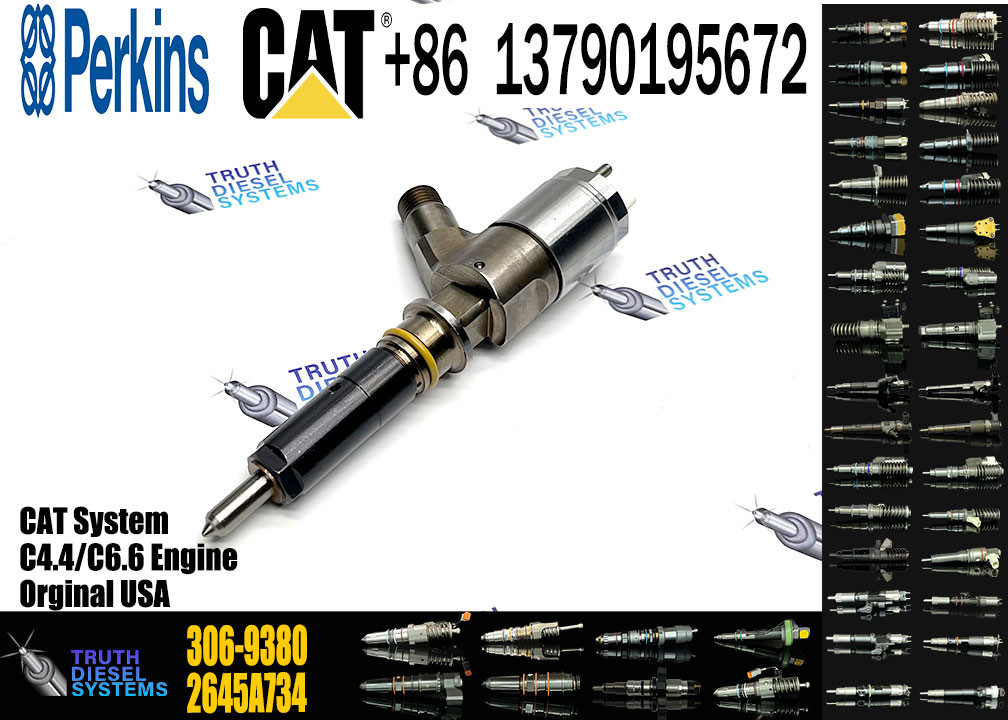 C4.4 C6.6 Engine Fuel Injector 320-0690 292-3790 306-9390 10R-7673 2645A746 2645A749 2645A747