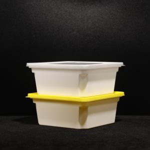 China Disposable Leak Proof PP Lunch Box Customized For Hot Dog Packaging factory