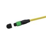 MPO Fiber Patch Cord