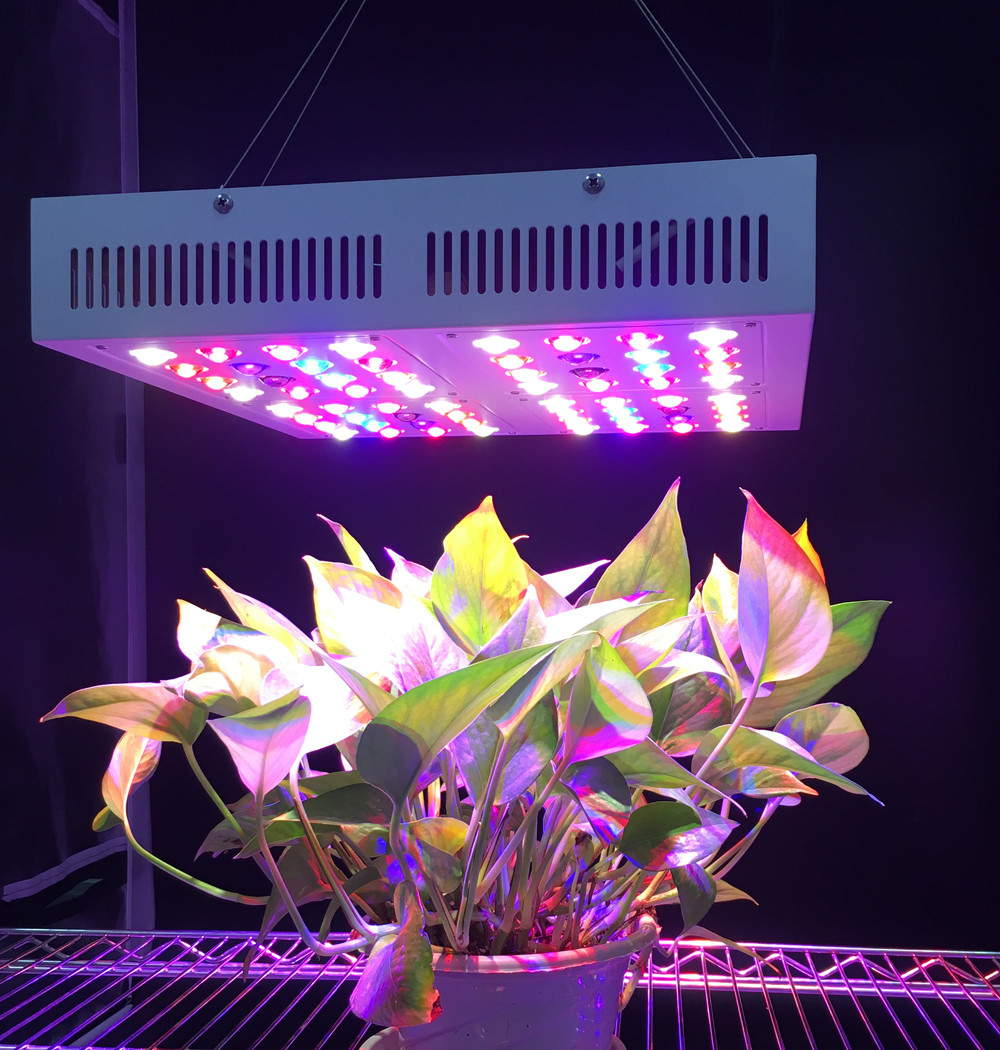 Full Spectrum Led Indoor Grow Lights For Garden Greenhouse Plant Led Growing Lights