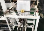 60p/Min Pe Film Sanitary Napkin Packing Machine Sealear Full Automatic