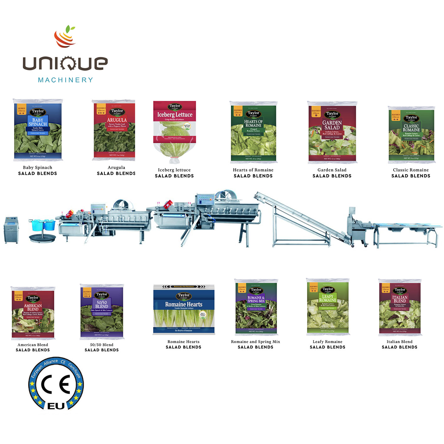 Fruit and Vegetables Vegetable Salad Washing Line with 5000 KG Processing Efficiency