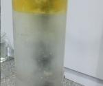 Efficient Energy Conversion Ultrasonic Industrial Homogenizer For Water-Oil