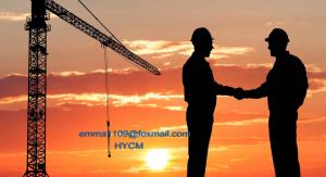 China TC6520 Top Slewing Tower Crane 160 foot tower could shipping to Halifax factory