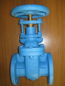 China (BS) Cast Iron Gate Valve Flanged Ends factory